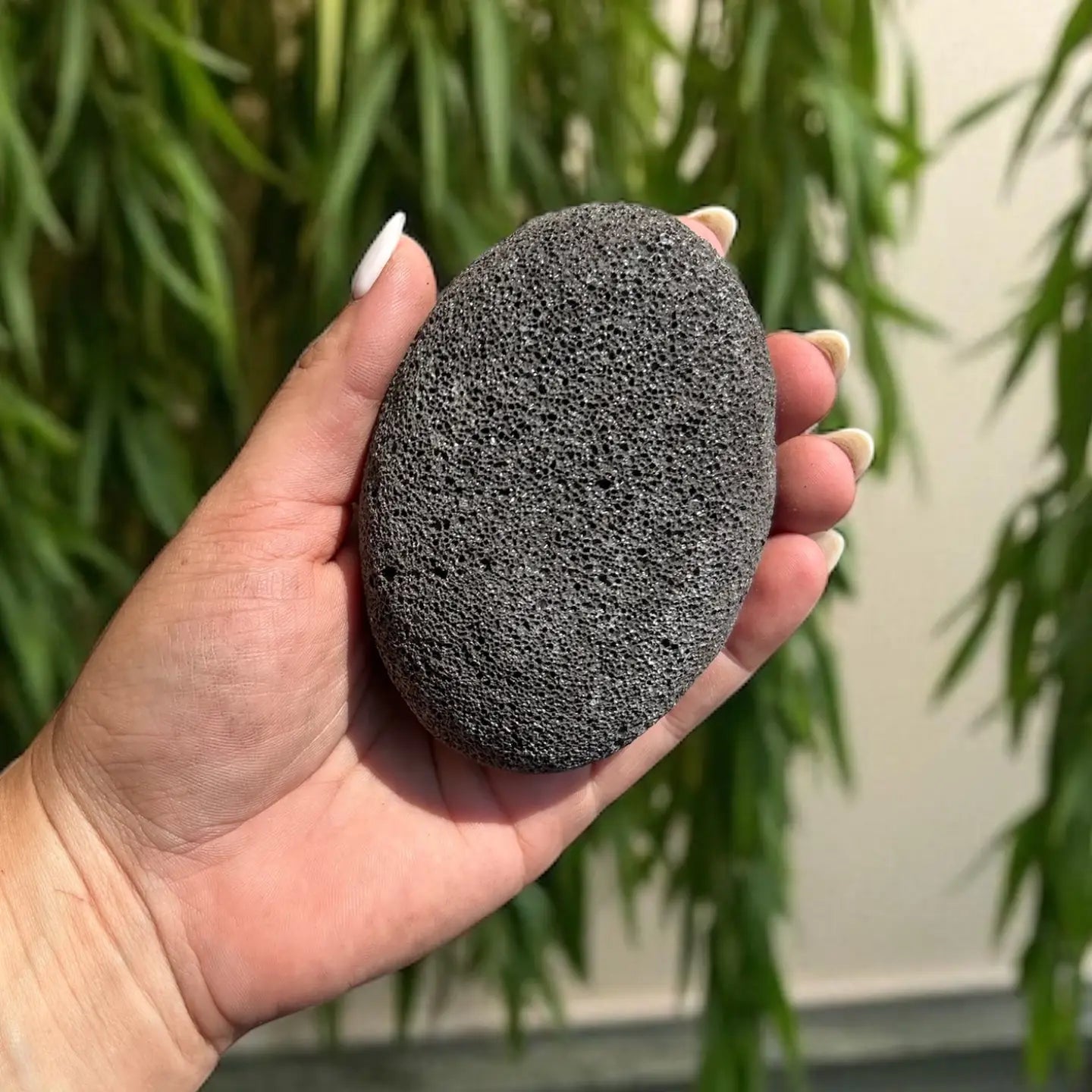 Charcoal cleanse Rock Bar